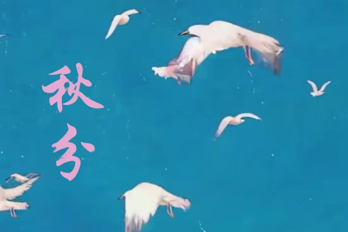 画中话节气 | 秋分
