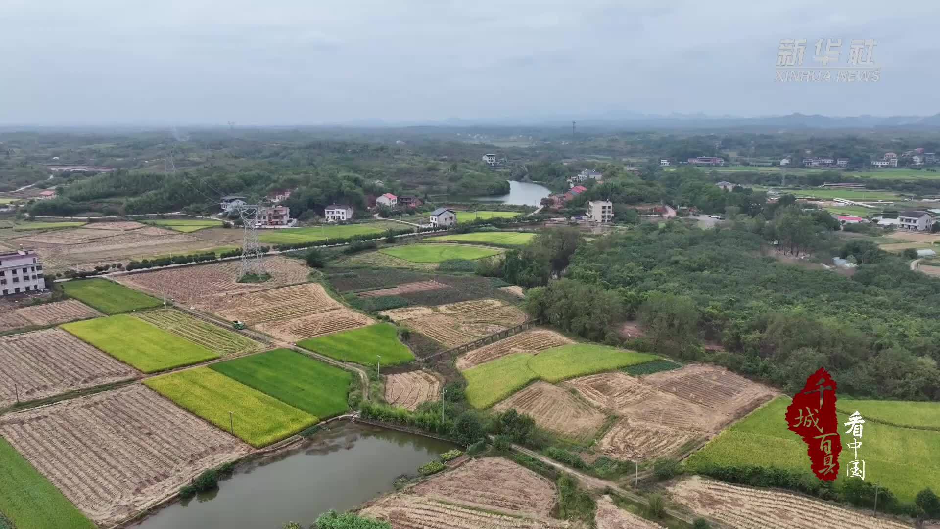 千城百县看中国丨湖南衡阳：丰收时节测丰产