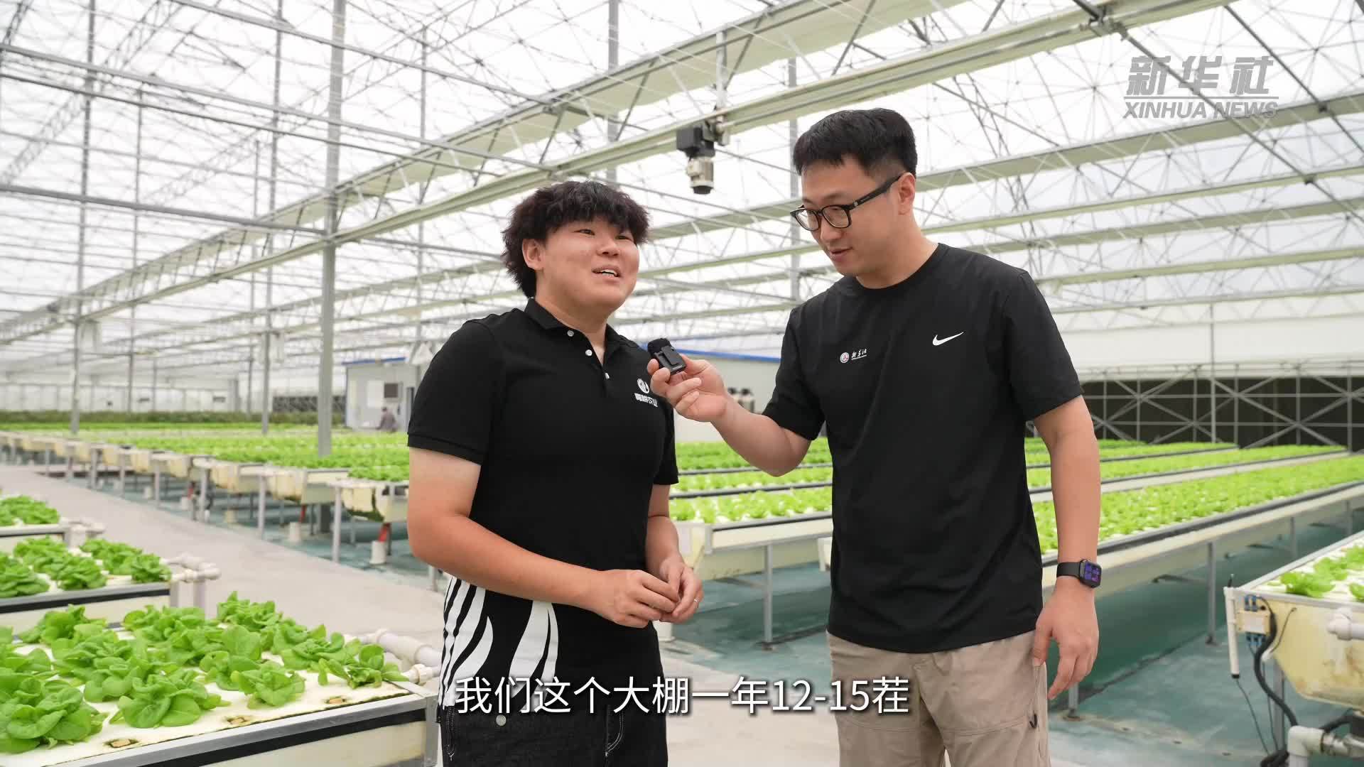 Vlog｜这座“植物工厂”一年四季都在丰收