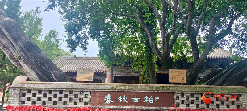 天水南郭寺春秋古柏