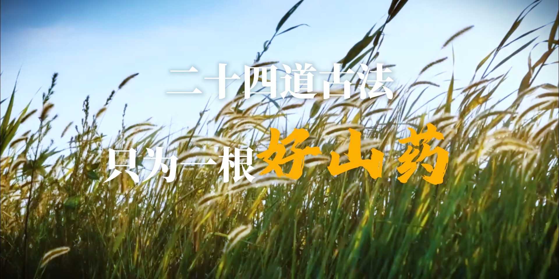 二十四道古法，只为一根好山药