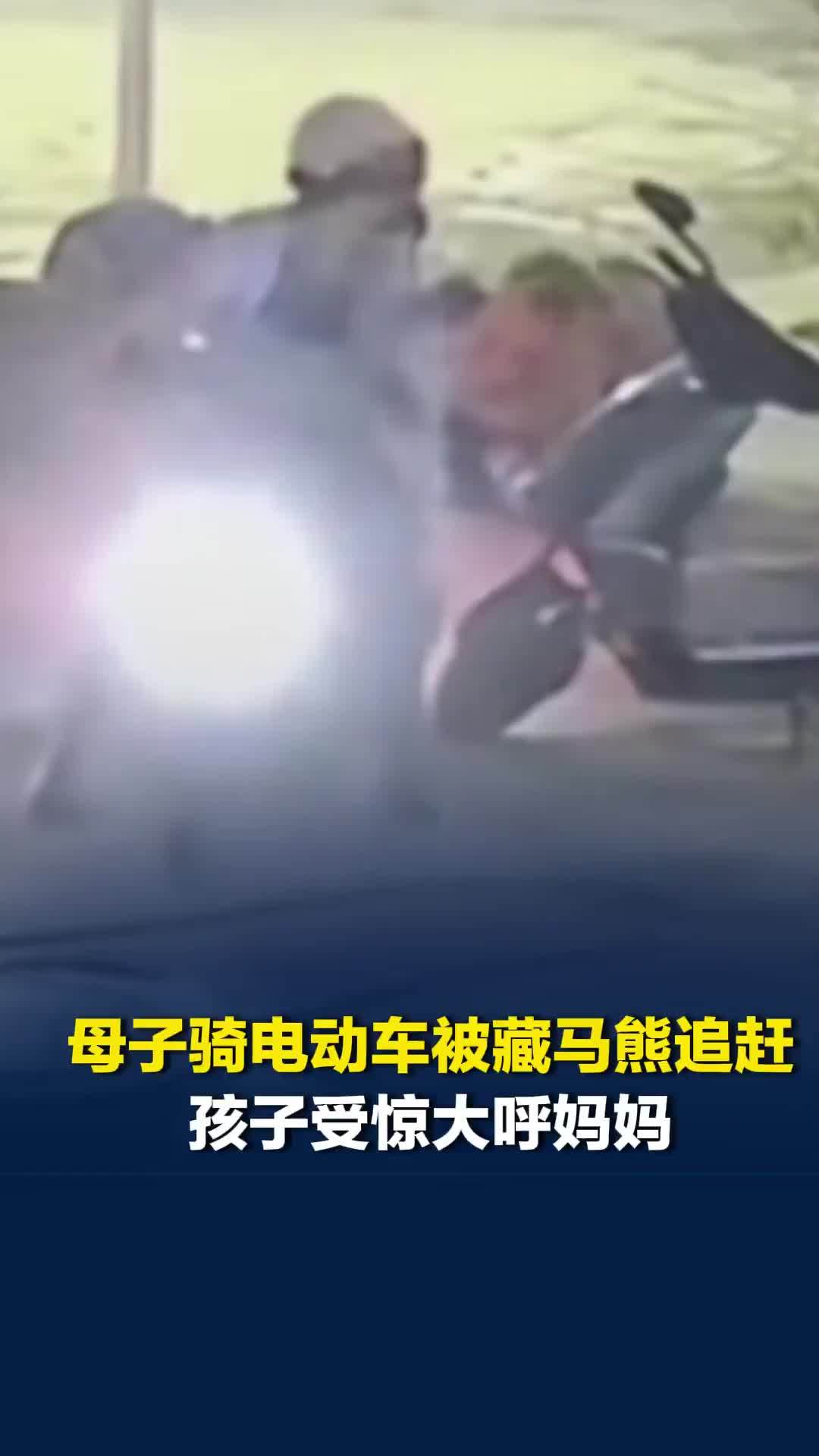 母子骑电动车被藏马熊追赶，孩子受惊大呼“妈妈”，引来众人帮忙