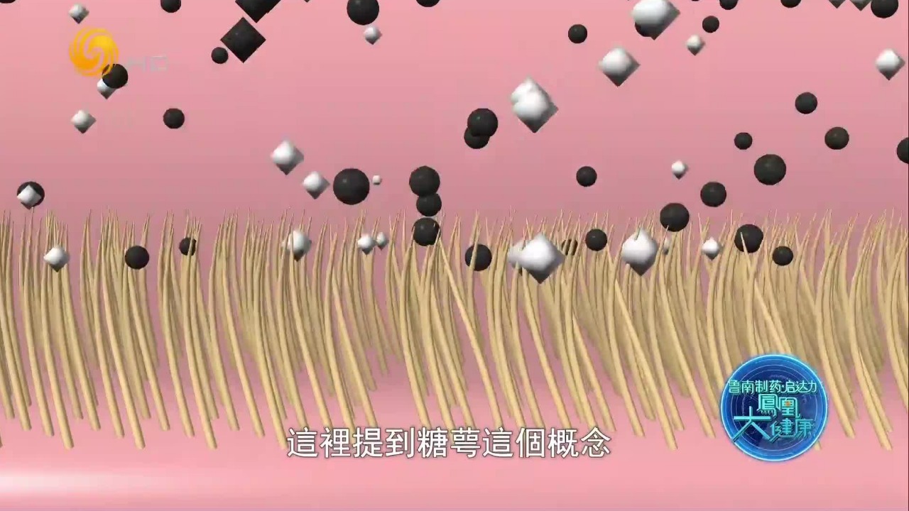 血管内壁的保护膜正在被刮掉？元凶就是高血糖、慢性炎症催生的脱糖酶