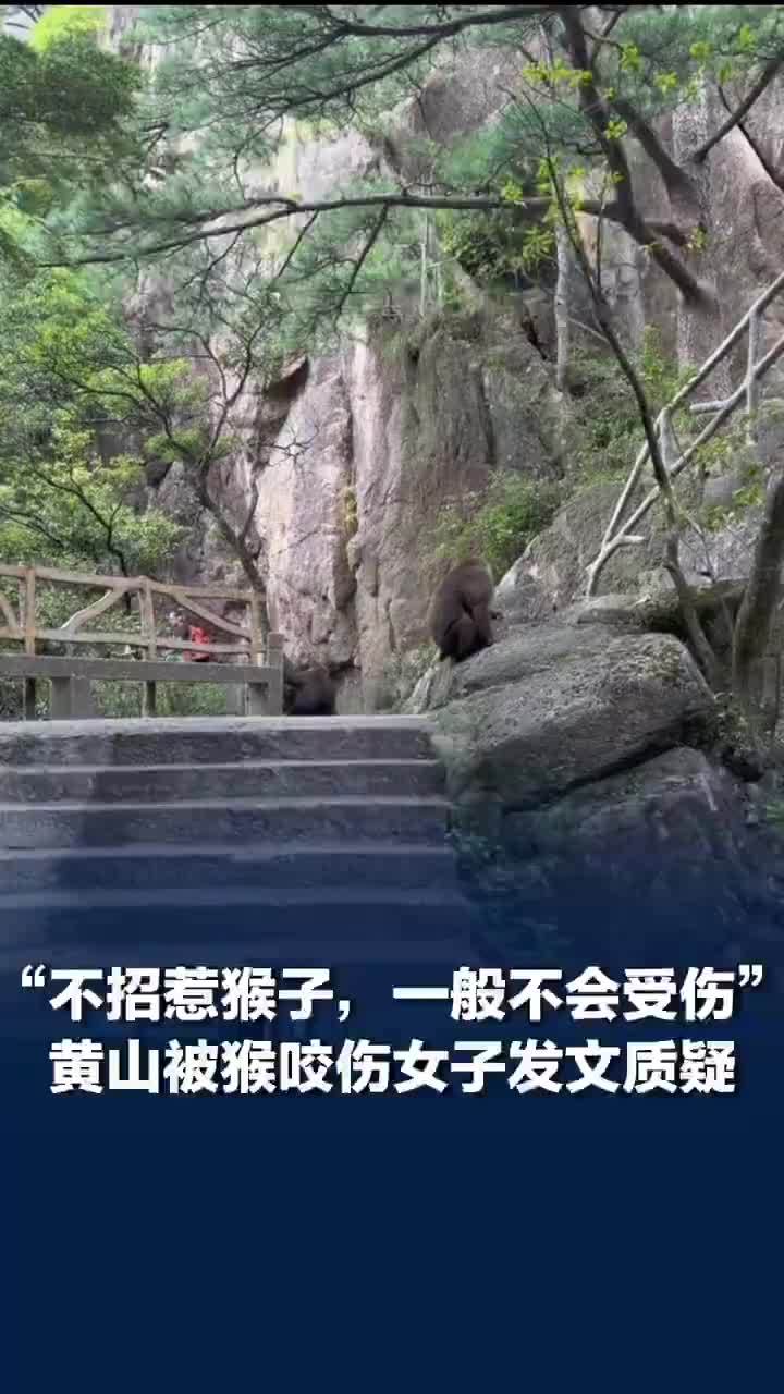 被猴群咬伤女子三问黄山景区