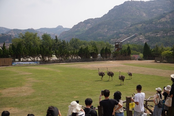 DSC04868_副本.jpg