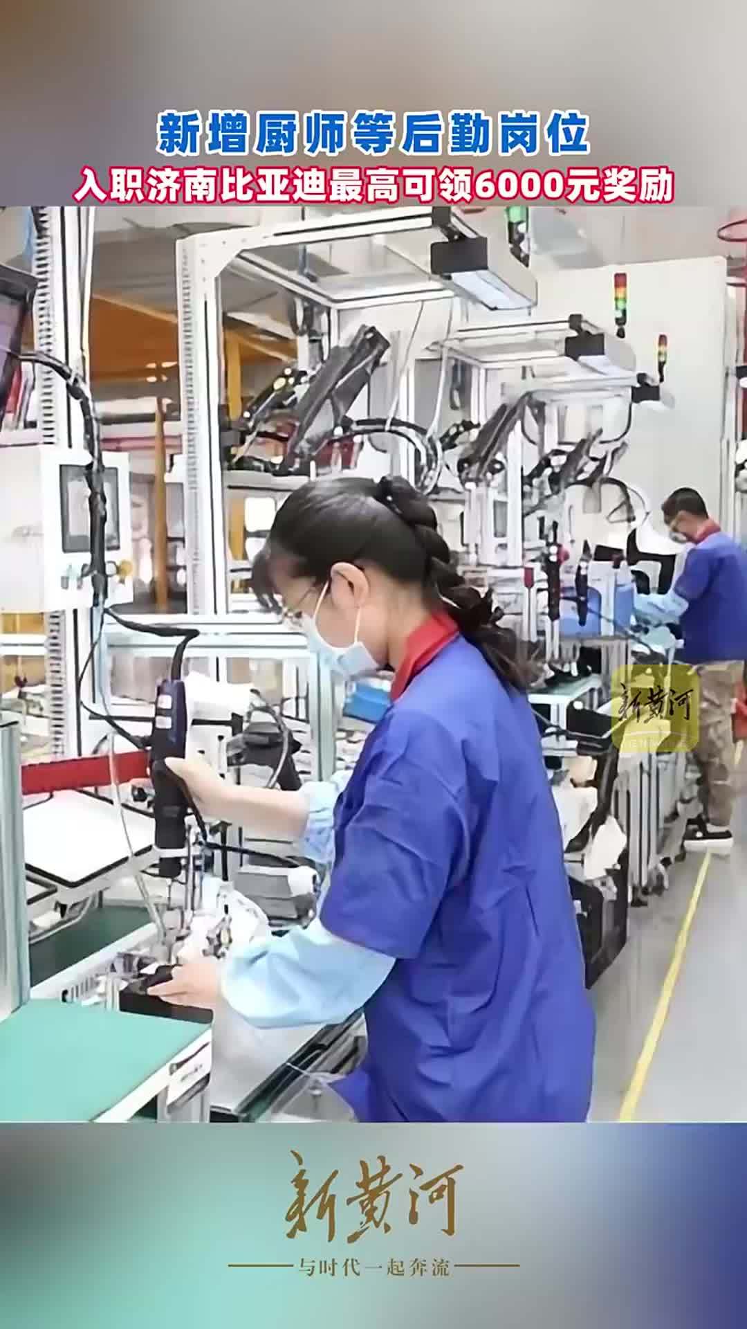 新增厨师等后勤岗位，入职济南比亚迪最高可领6000元奖励