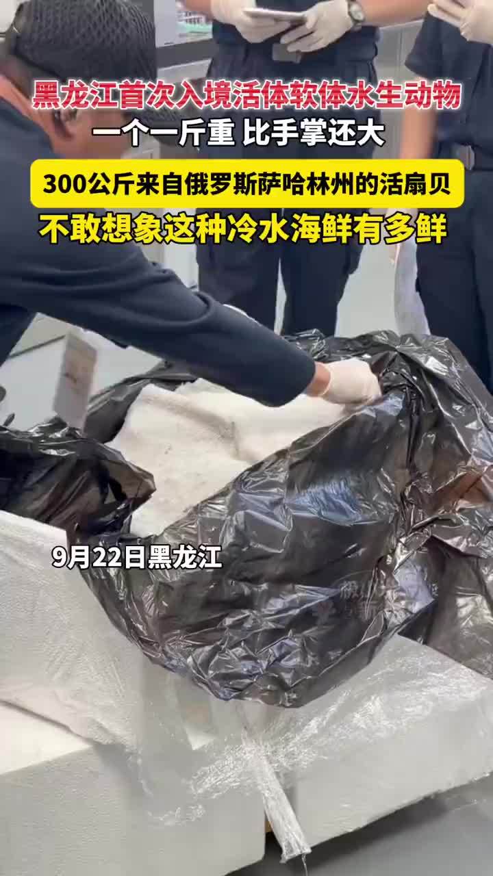 黑龙江首次入境活体软体水生动物