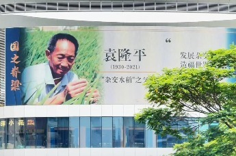 深圳广告位最贵的地方 被“顶流”刷屏