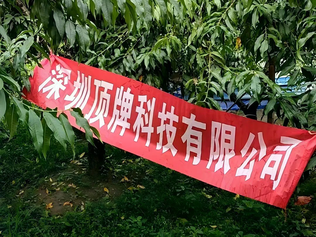 果园里的模幅