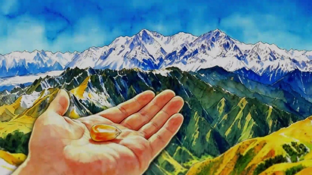 【甘快看·经济观察】动漫　一粒种子的分量