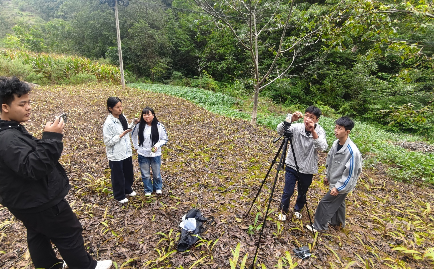 直播间搬进核桃林 奉化职教赋能大凉山助农兴村