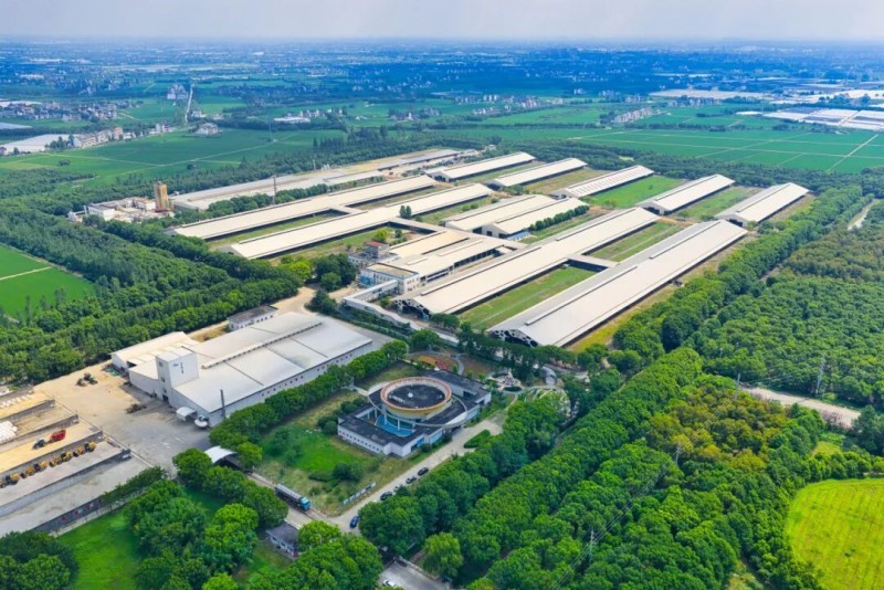 光明乳业种牛育种领跑全国!CDCB权威成绩出炉