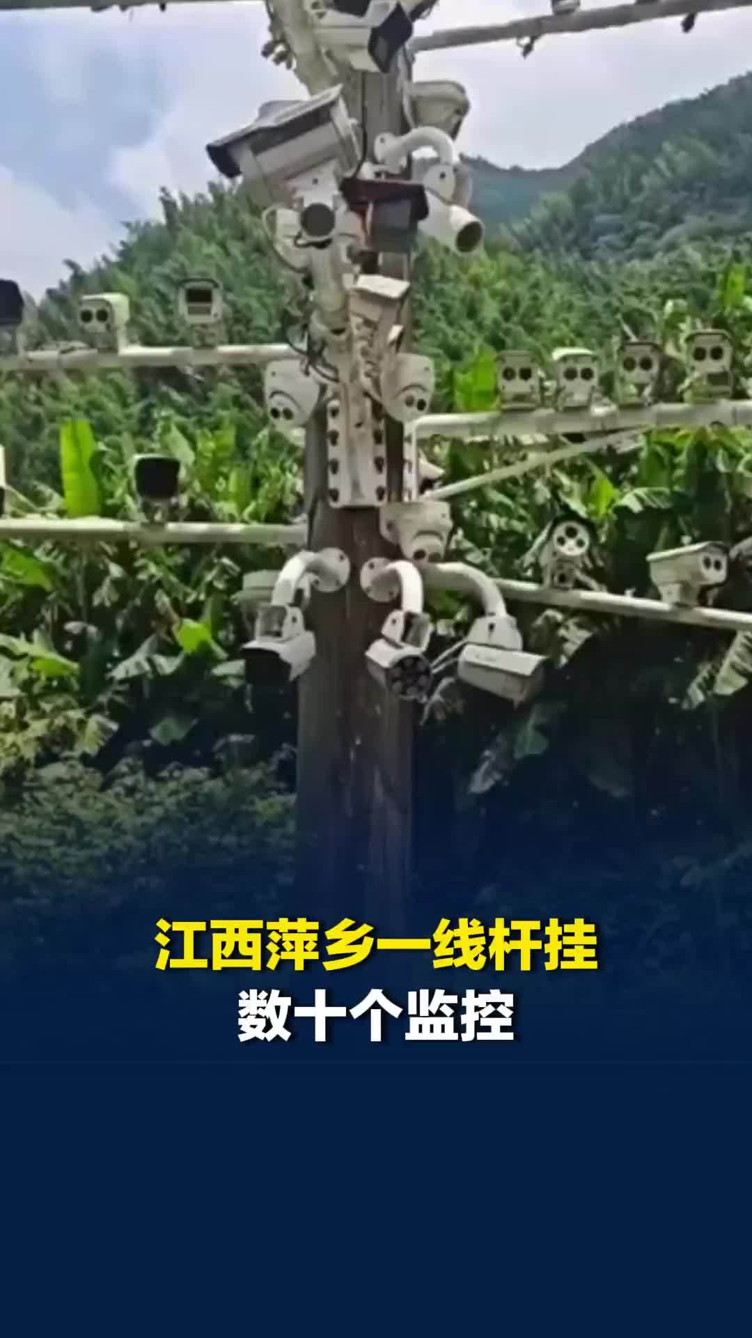江西萍乡一线杆挂数十个监控，当地回应：若误会多争议大将拆除
