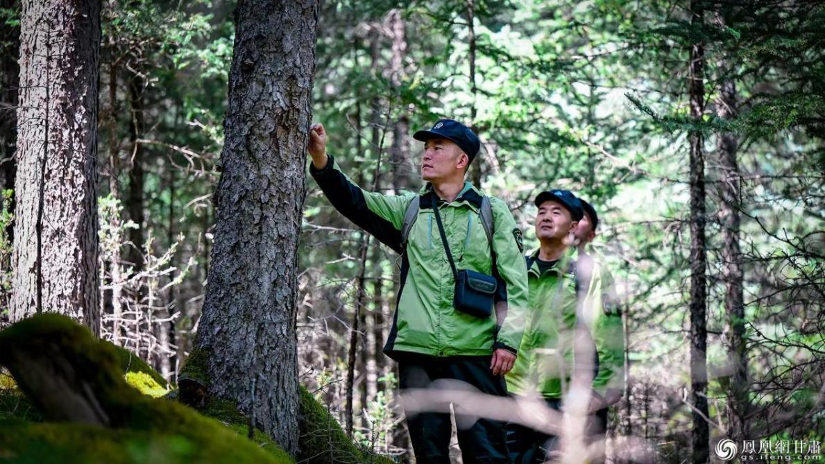 甘肃祁连山国家级自然保护区管护中心寺大隆保护站大岔管护站副站长丁尚涛（前排）带队在林区巡护　李德宇　摄
