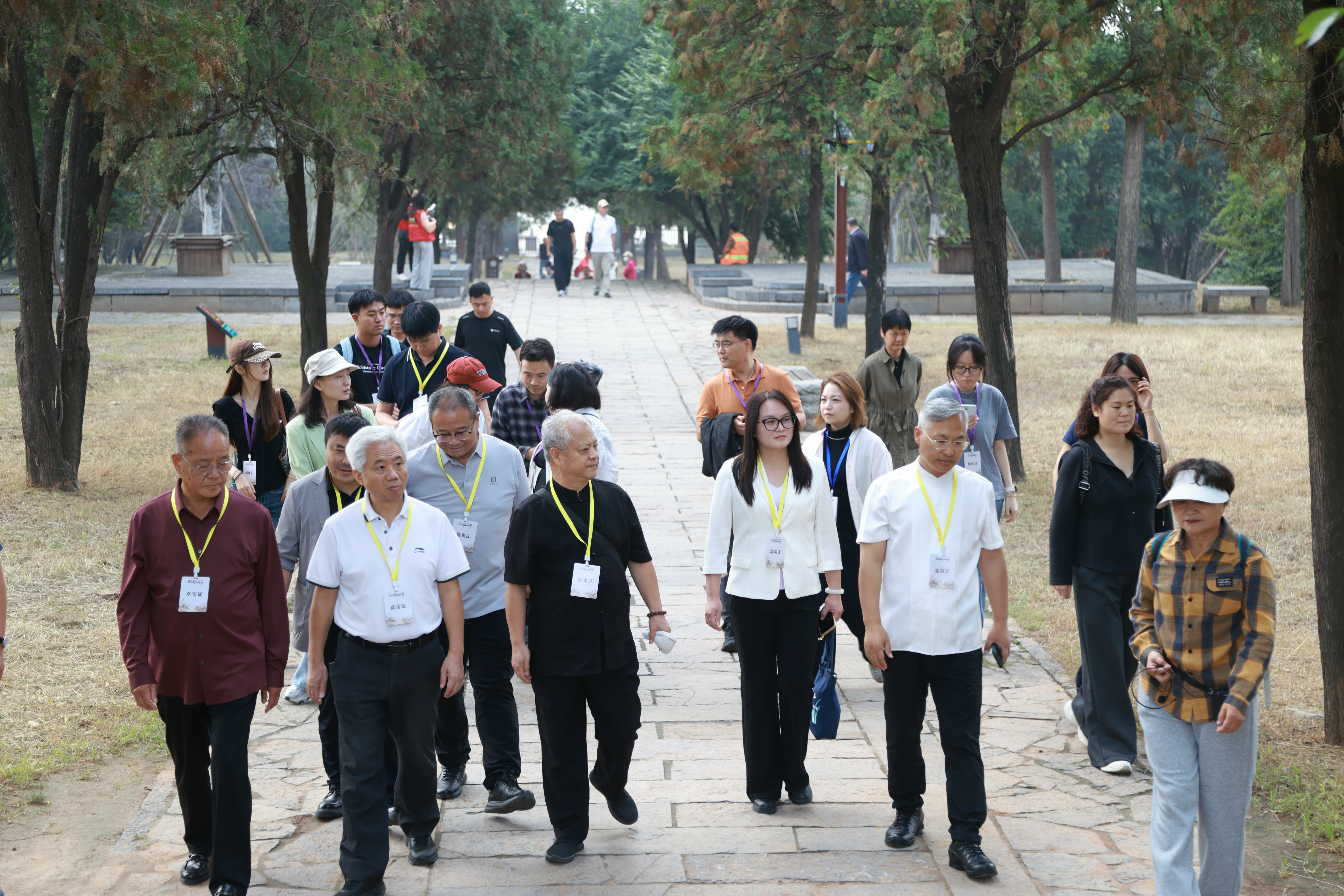 一场节气溯源之旅,看张宝山如何以山药古法种植激活现代农业