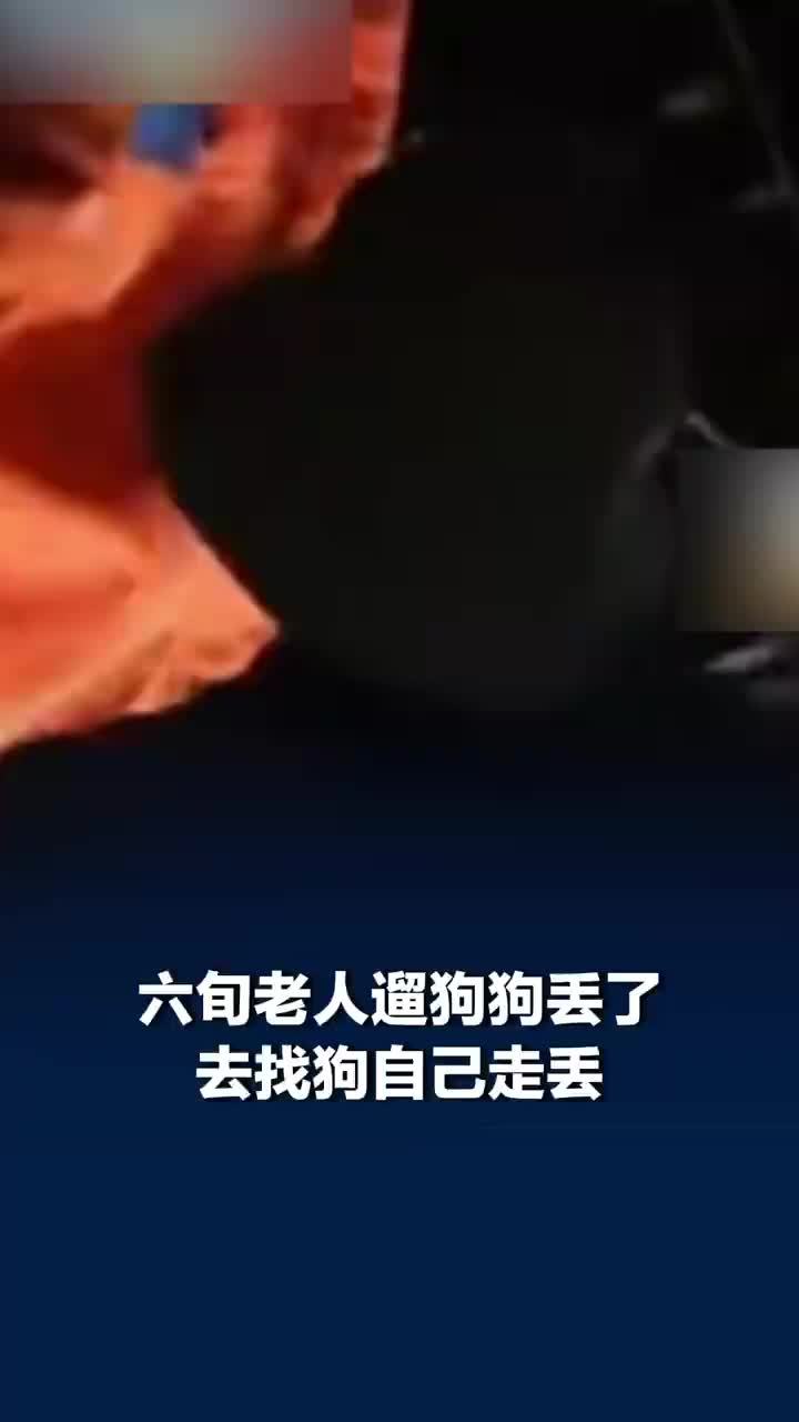 六旬老人进山找狗自己走丢