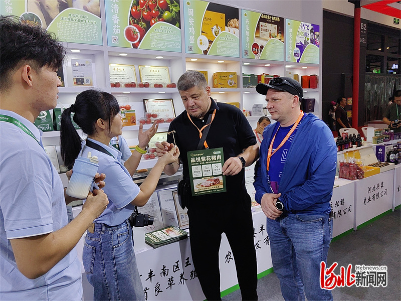 图为境外客商在河北展区与参展企业代表交流。