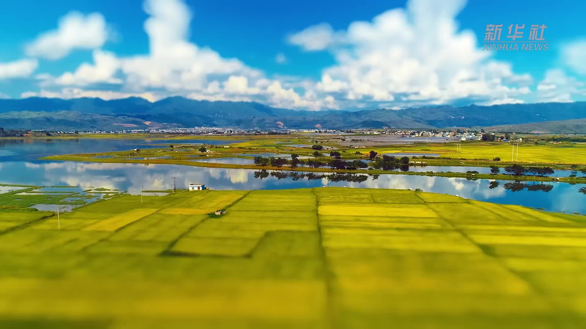 移轴视角下 秋收绘“丰景”