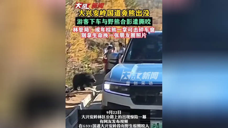 大兴安岭国道旁熊出没，游客下车与野熊合影遭撕咬；林管局：成年棕熊一掌可击碎车窗，别拿生命换一张朋友圈照片
