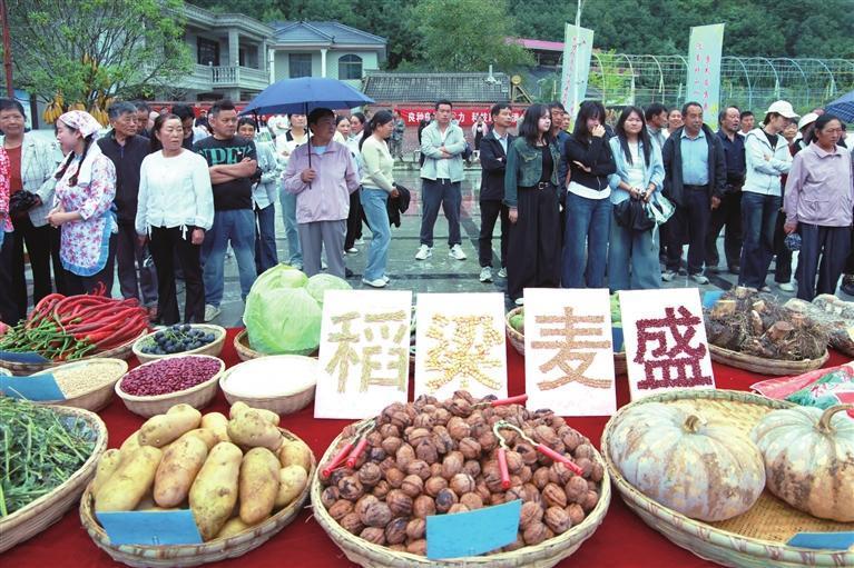 康县大南峪镇花庙村庆丰收 曾英 摄