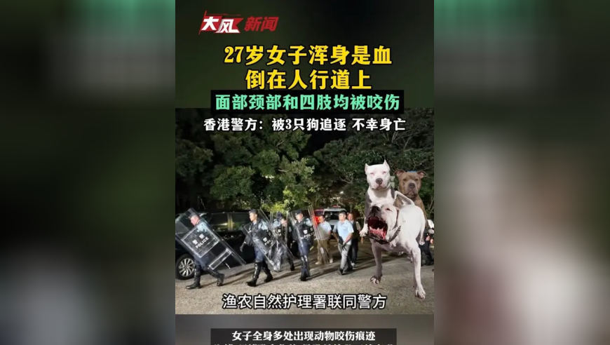 27岁女子浑身是血倒在人行道上，面部颈部和四肢均被咬伤，香港警方：被3只狗追逐 不幸身亡