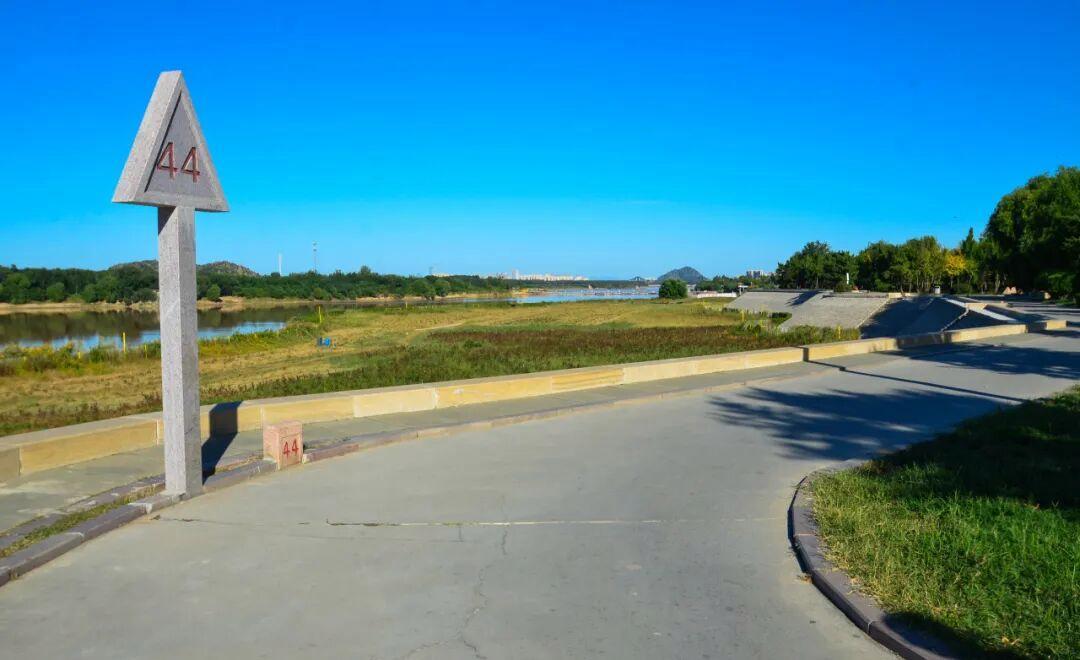 摄影:王琴 往年拍摄于百里黄河风景区