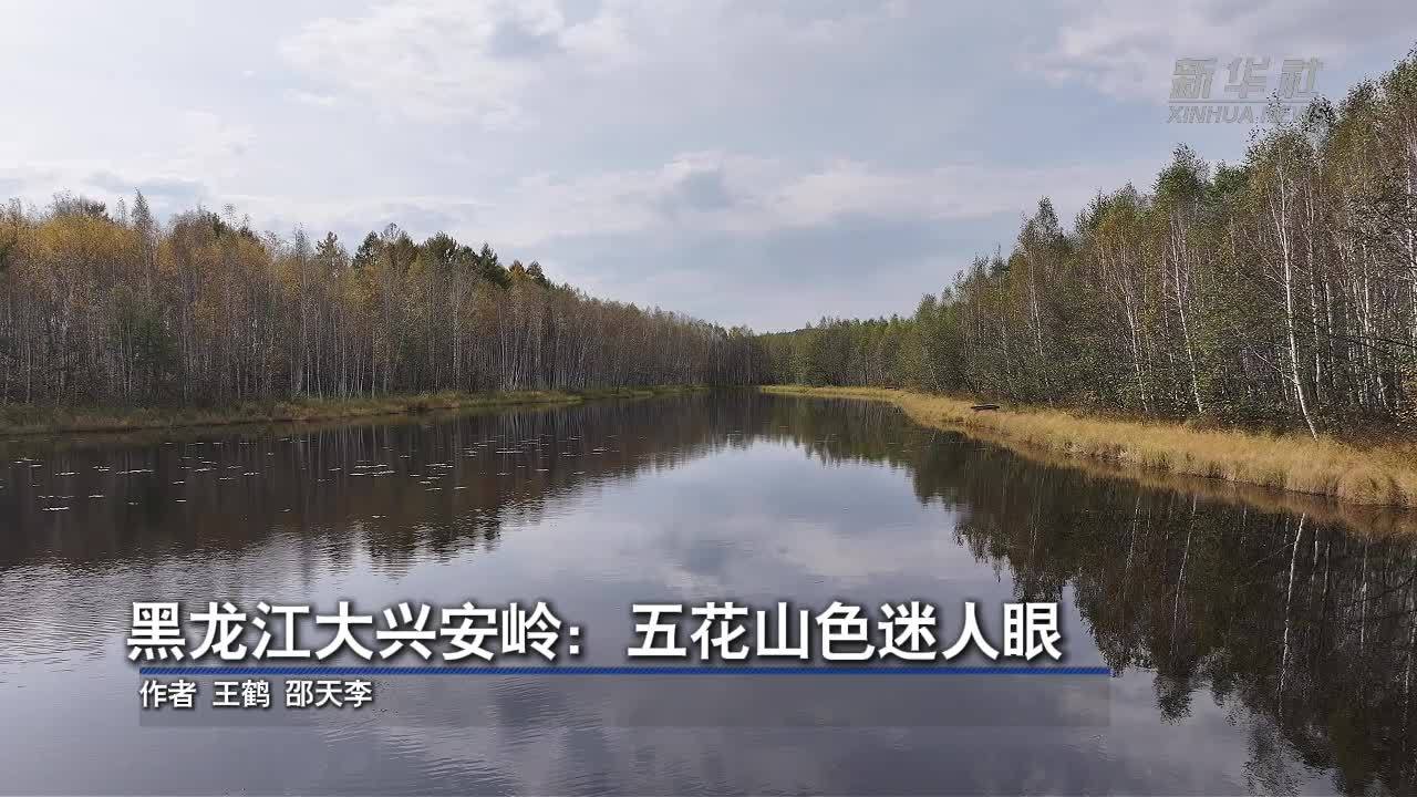 黑龙江大兴安岭：五花山色迷人眼