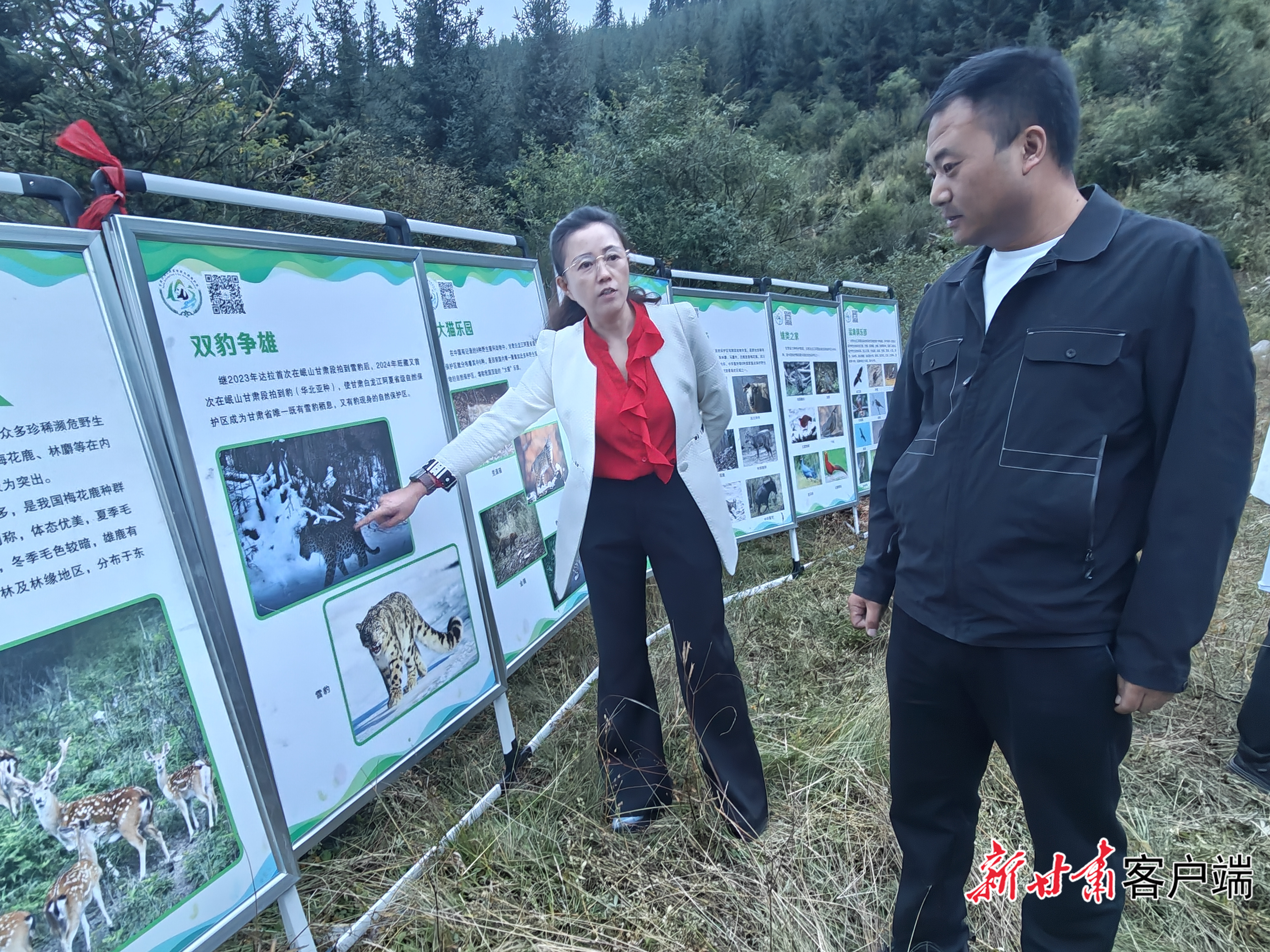 甘肃白龙江阿夏省级自然保护区工作人员介绍生物多样性保护成效