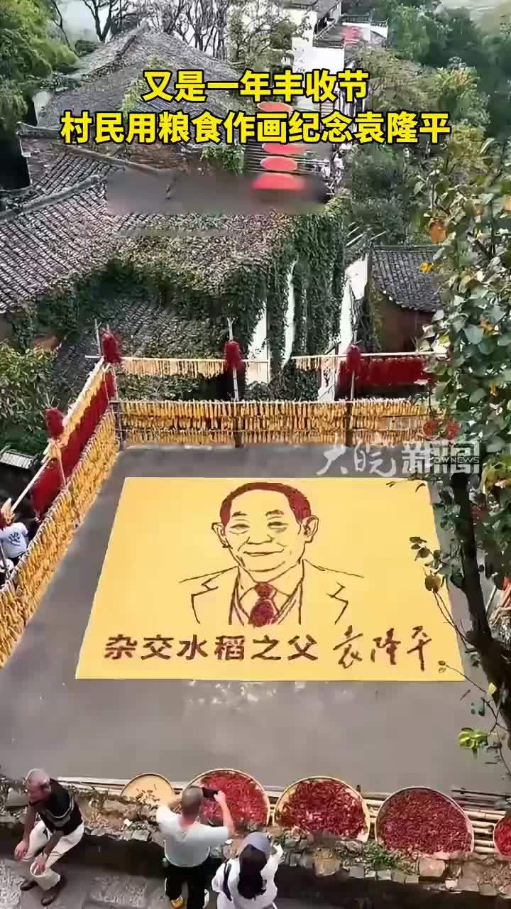 又是一年丰收节，村民用粮食作画纪念袁隆平