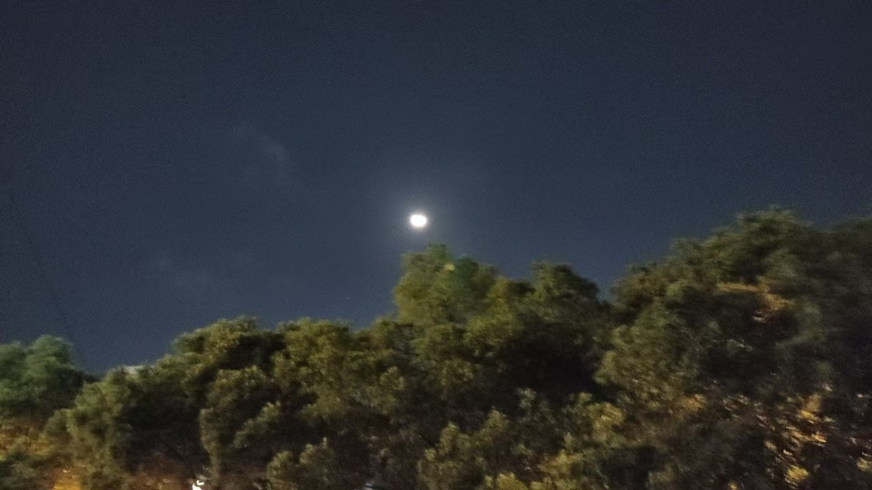 曹政伟:窗外的圆月