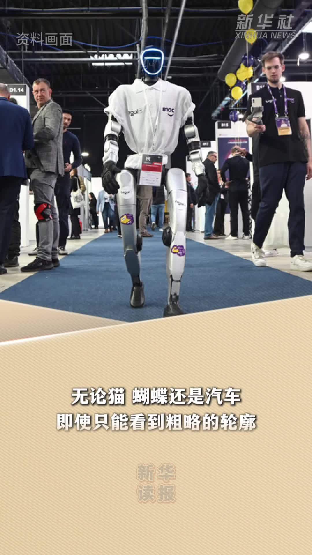 新华读报｜研究发现：人工智能识别形状能力不足