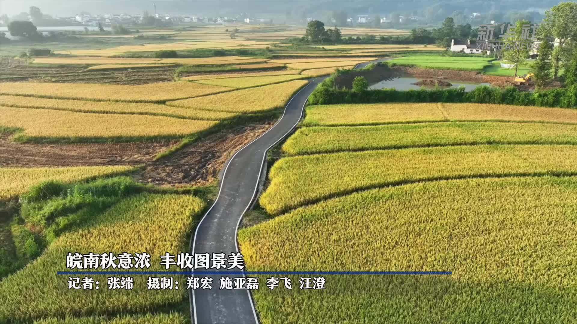 皖南秋意浓 丰收图景美