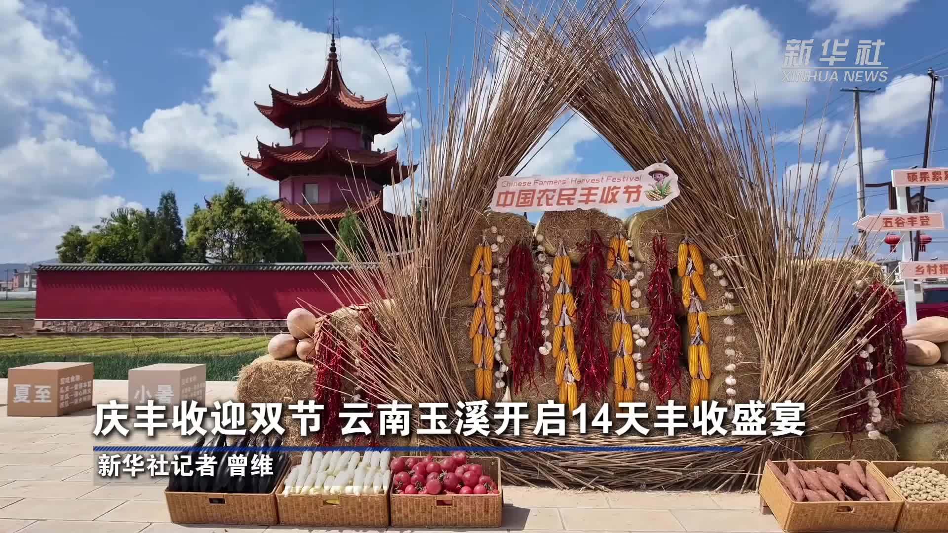 庆丰收迎双节 云南玉溪开启14天丰收盛宴