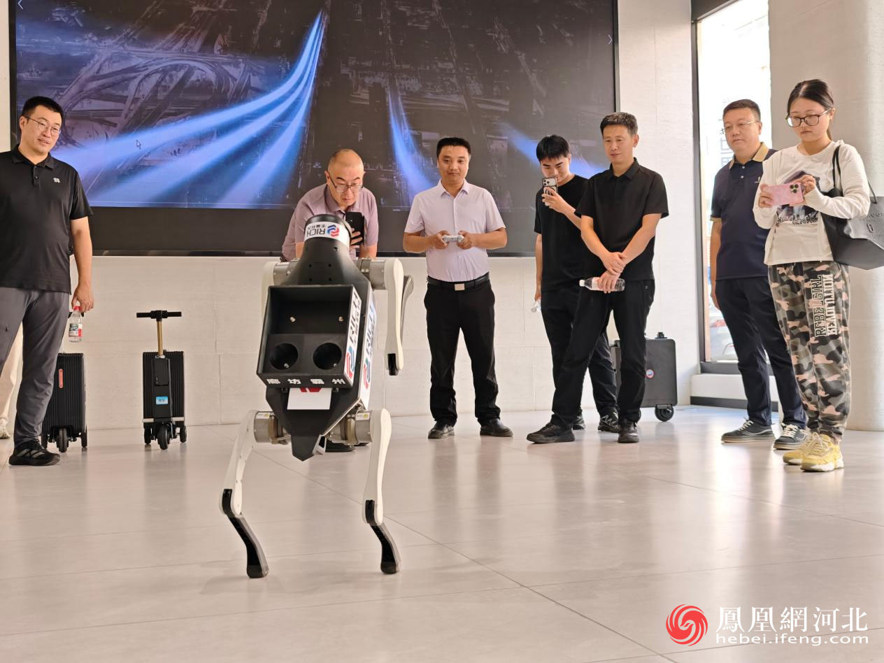 图为廊坊丰富科技有限公司自主研发的机器狗“小波”。