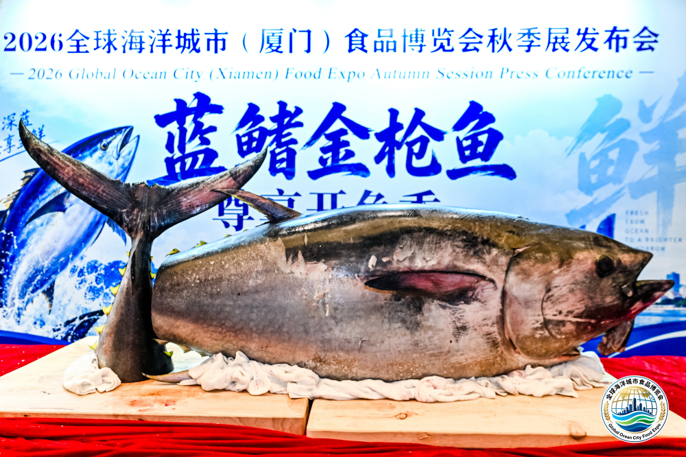 图片14_副本.png