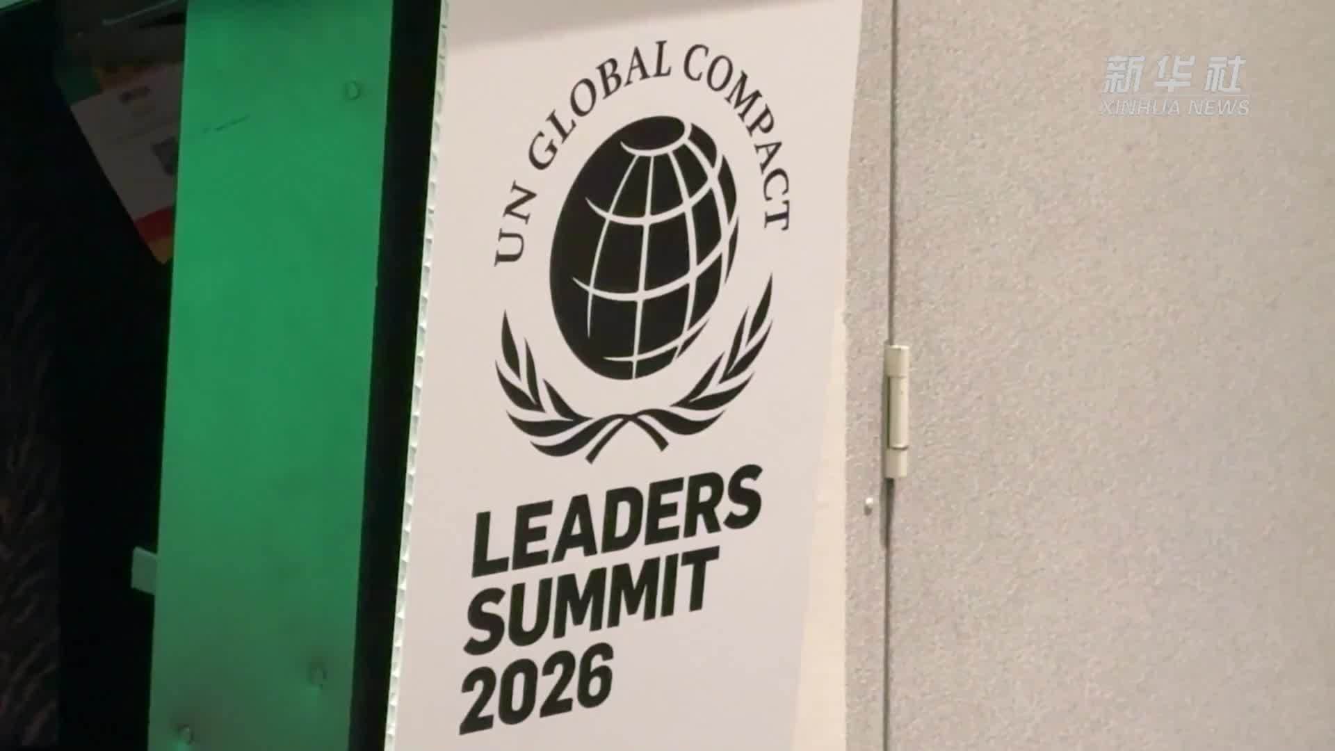 从杭州到纽约 国家电网AI减碳方案登上联合国舞台