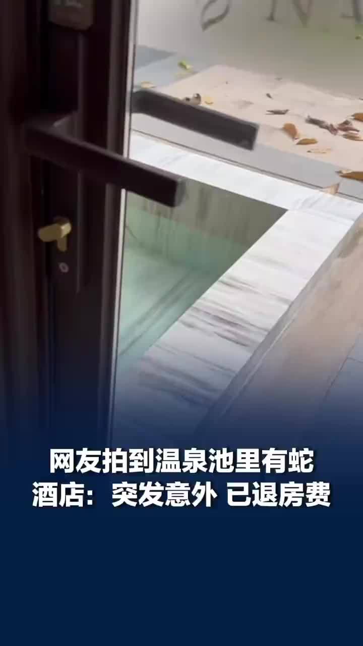 网友拍到一酒店温泉池里有蛇