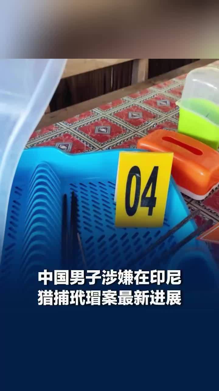 印尼玳瑁案三人潜水目的为猎杀野生动物，印尼猎捕玳瑁案另外两同伙被通缉