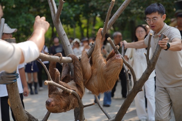 DSC04738_副本.jpg