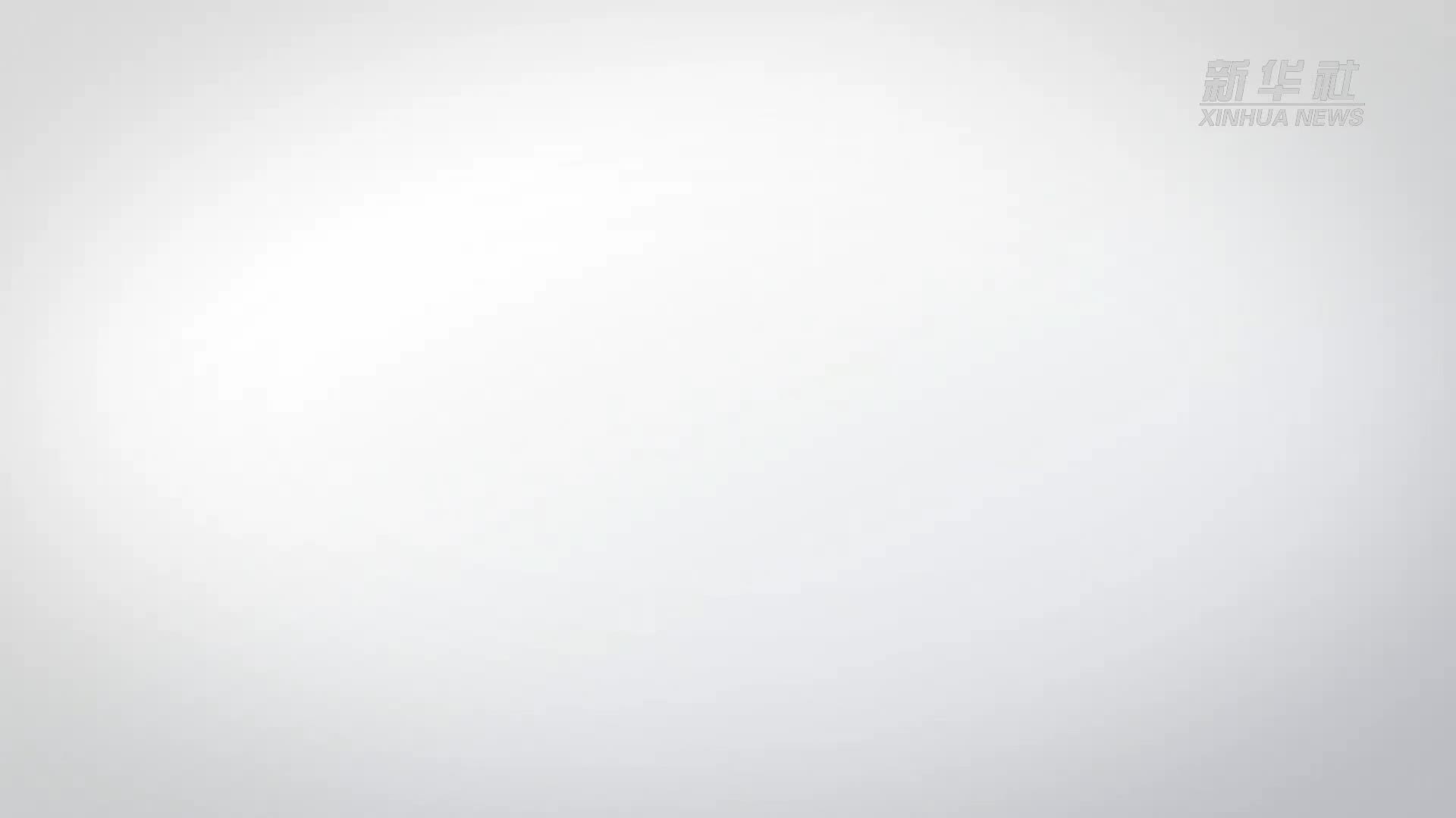 大咖说|谢震业：四战亚运，“飞人”再向前