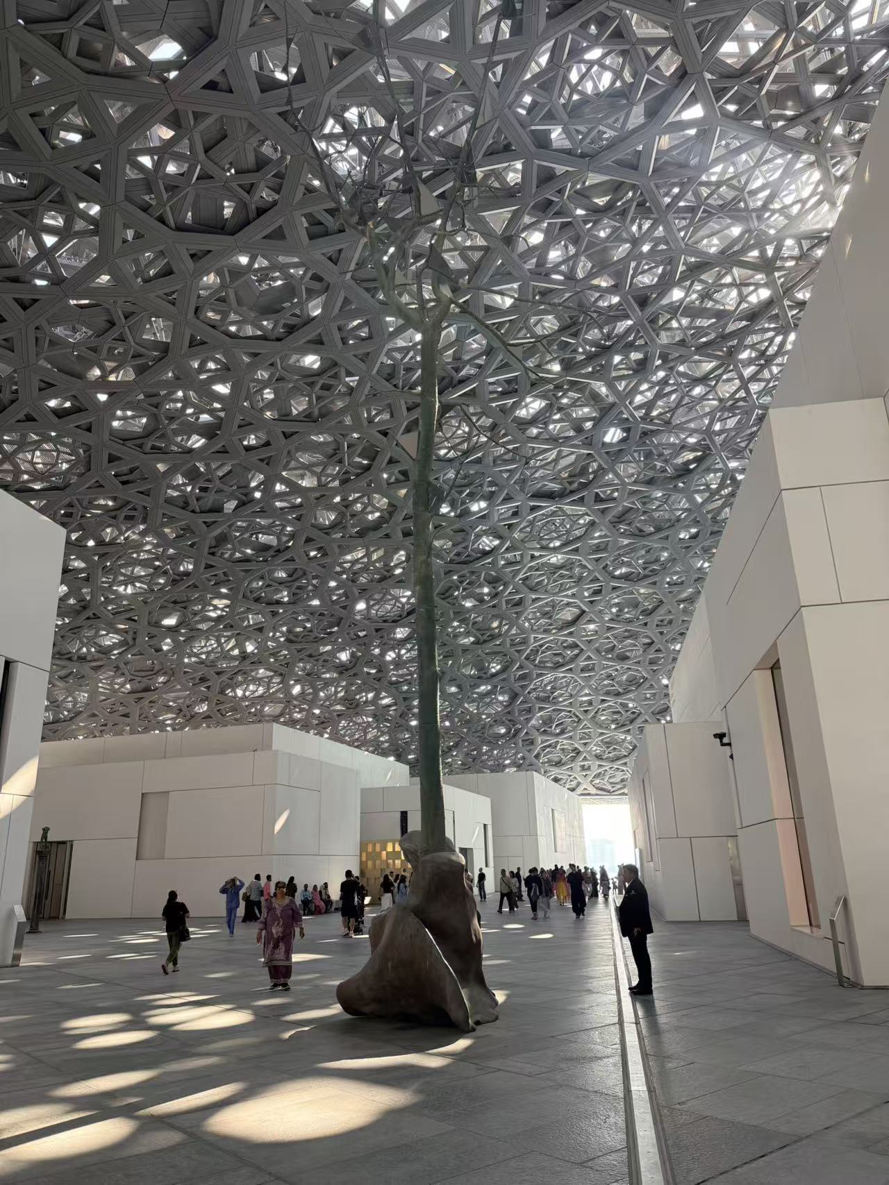 108位中国旅业人士举办1500场洽谈,认识丰富多元的阿布扎比