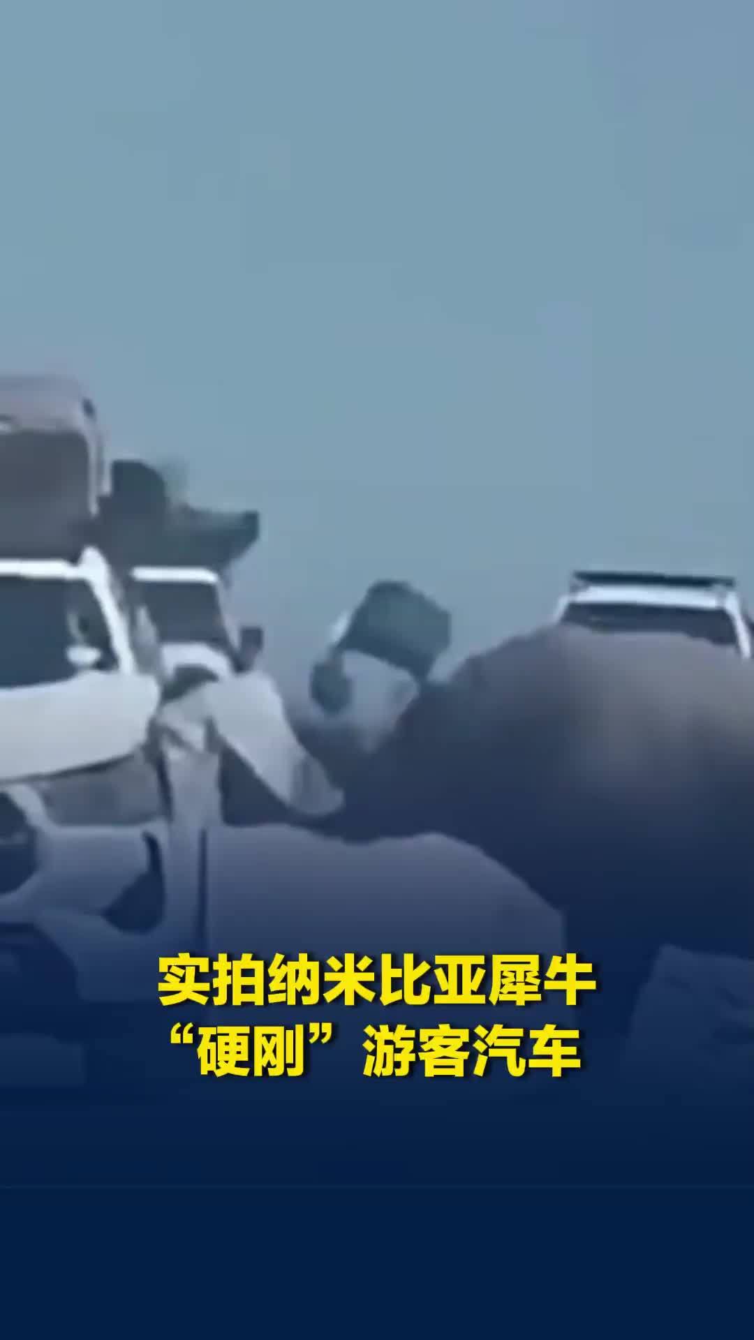 实拍纳米比亚犀牛“硬刚”游客汽车：车辆被顶撞剧烈摇晃，外壳脱落
