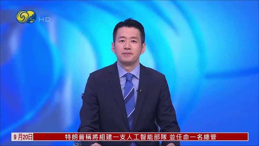 德国选择党在梅前州议会选举前夕举行集会