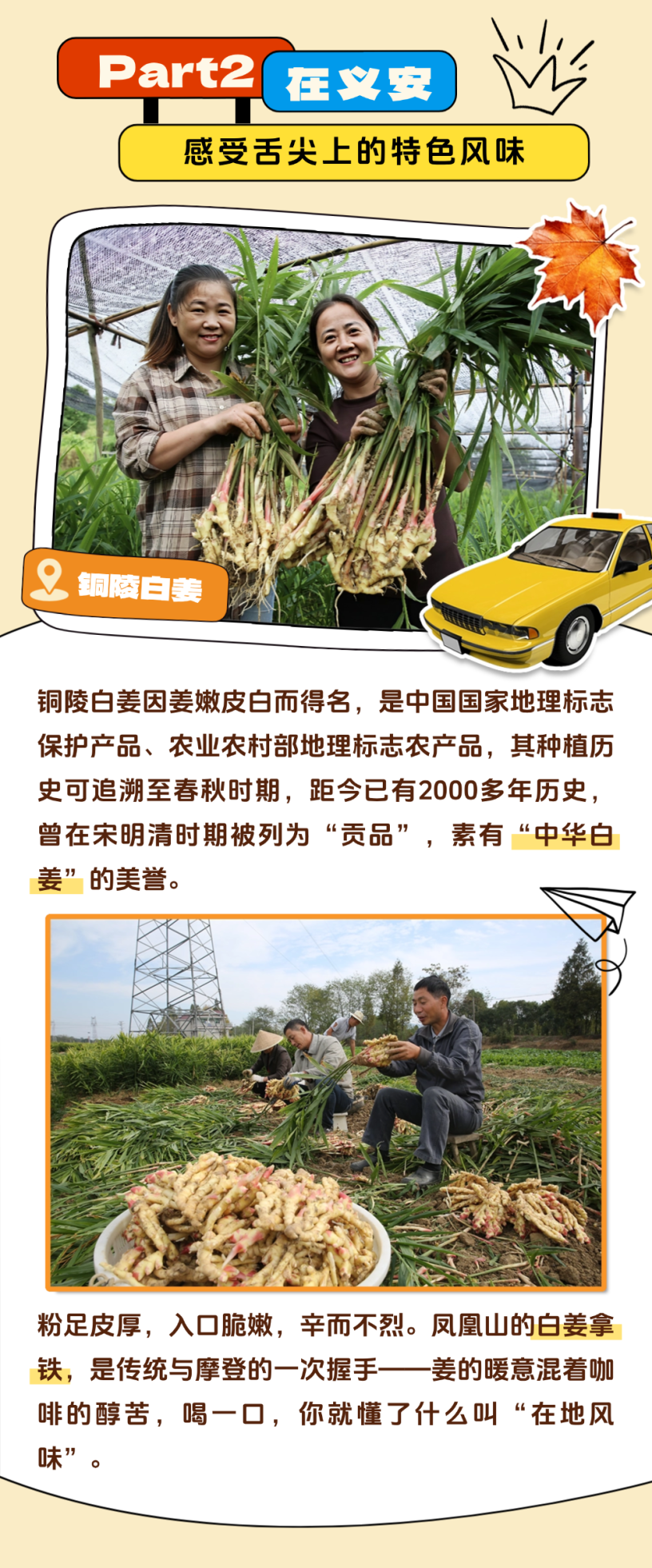 稿定设计-10.png