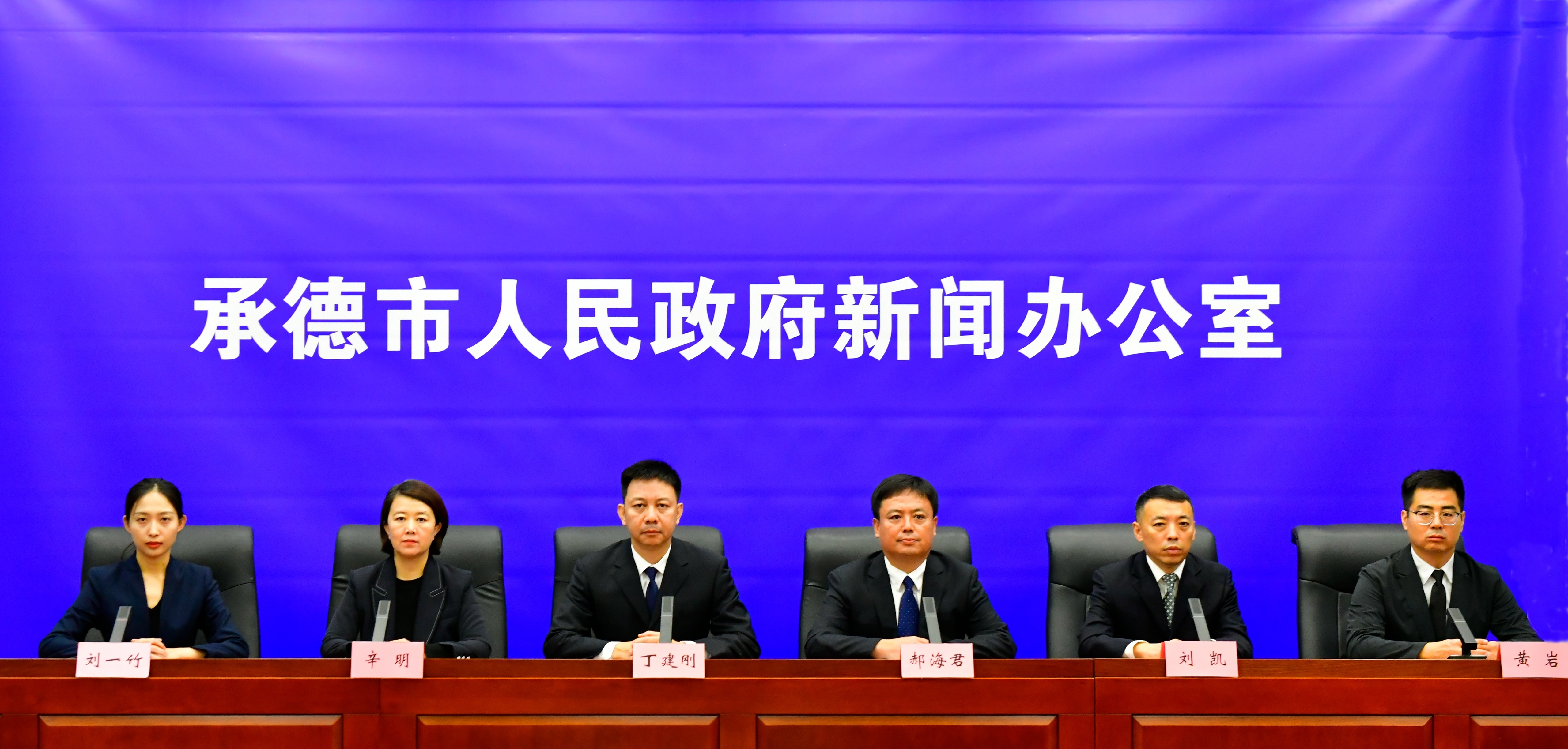 发布会 王占平摄