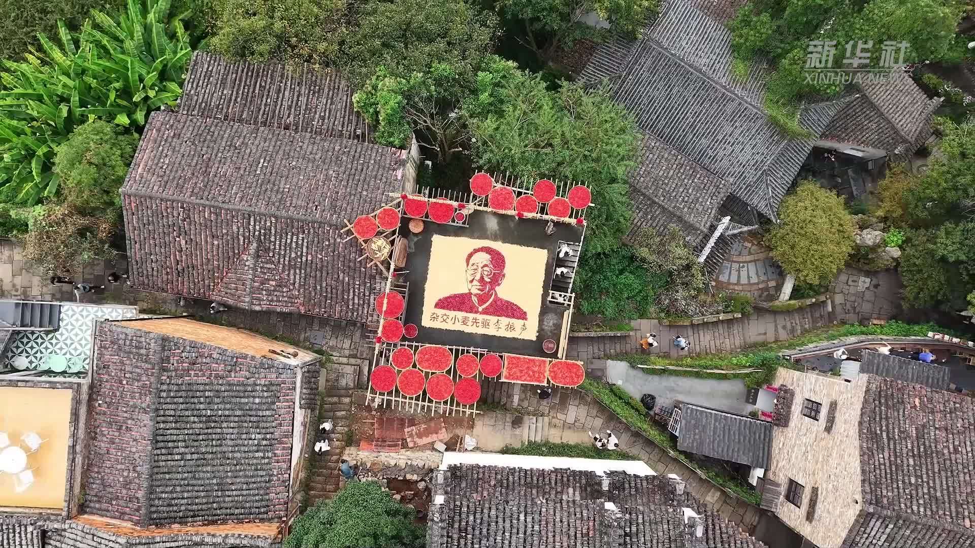 江西婺源篁岭“晒秋”致敬中国种业先驱