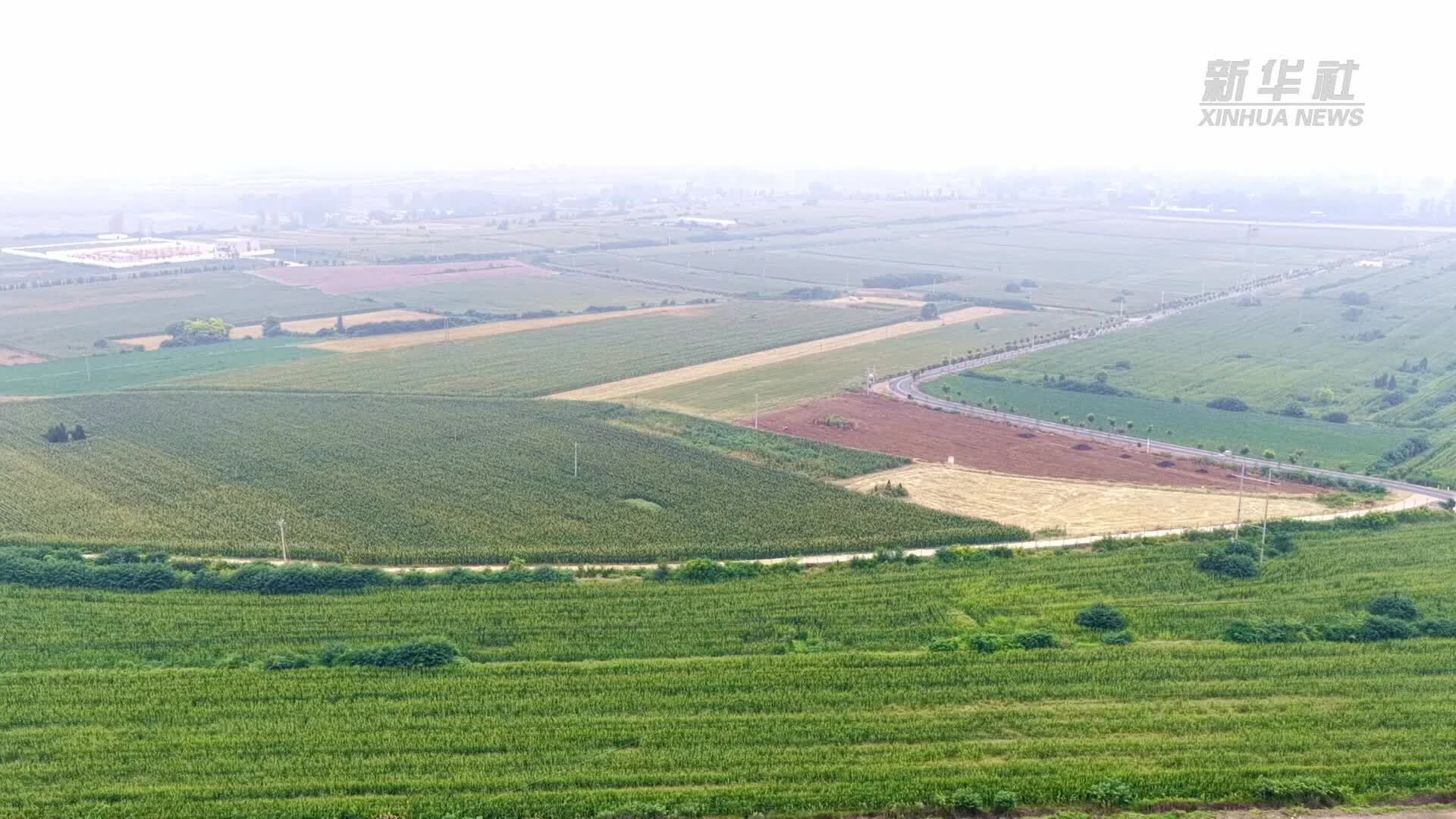 河南伊川：小田并大田 种出丰收好光景