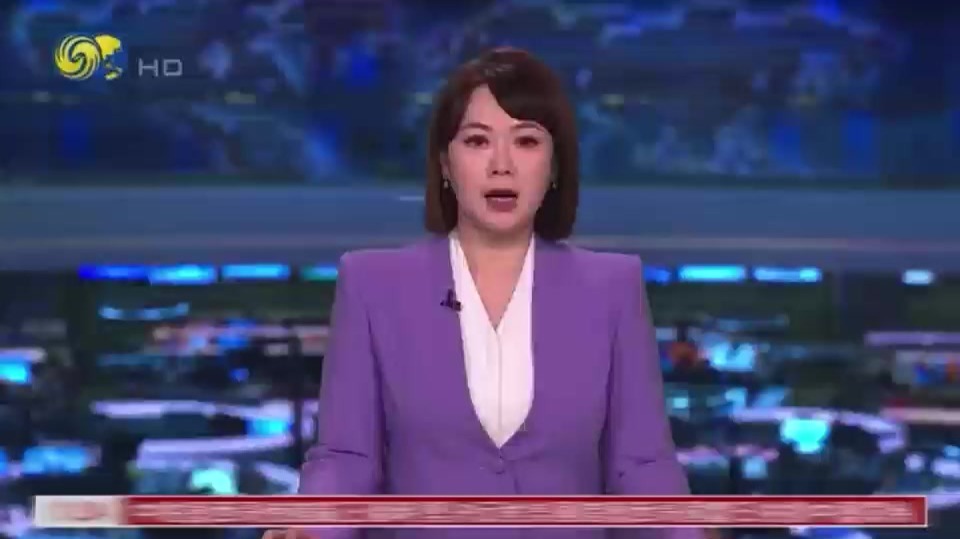 凤都视频