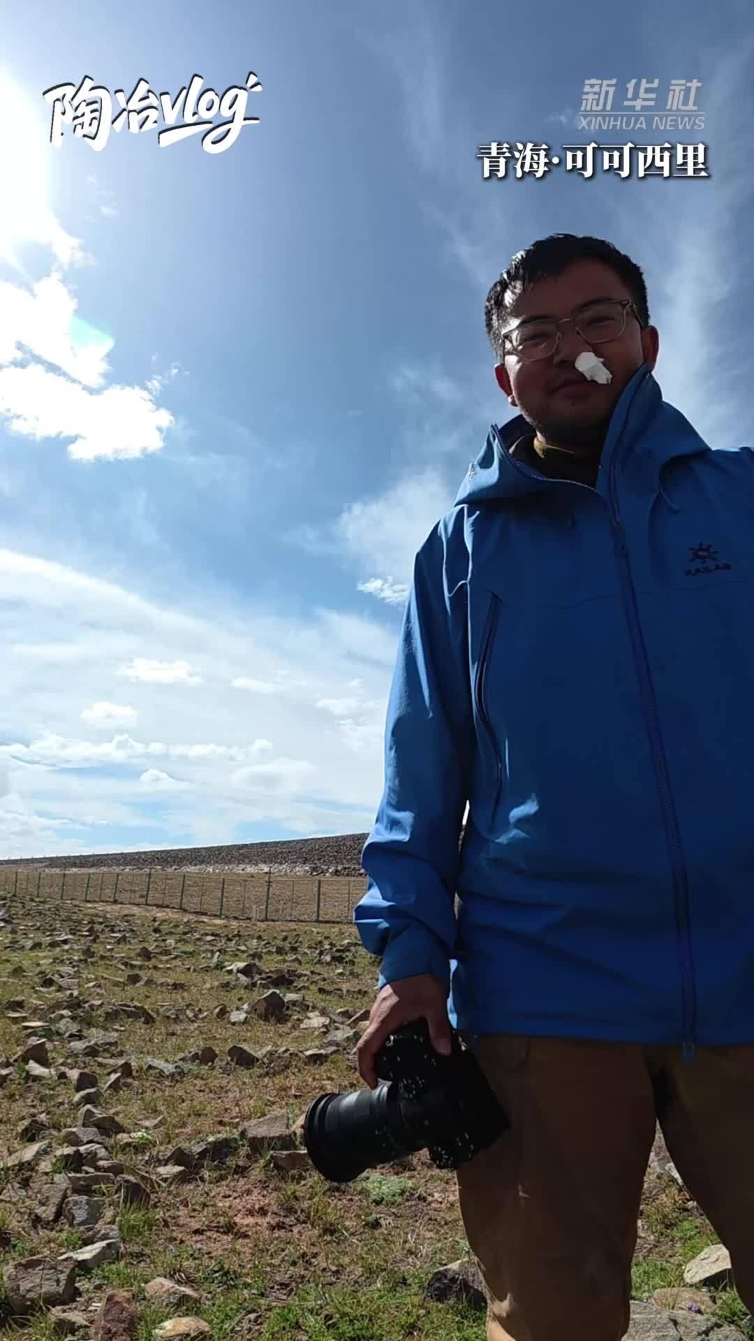 陶冶Vlog：高原一轮月 天路守桥人