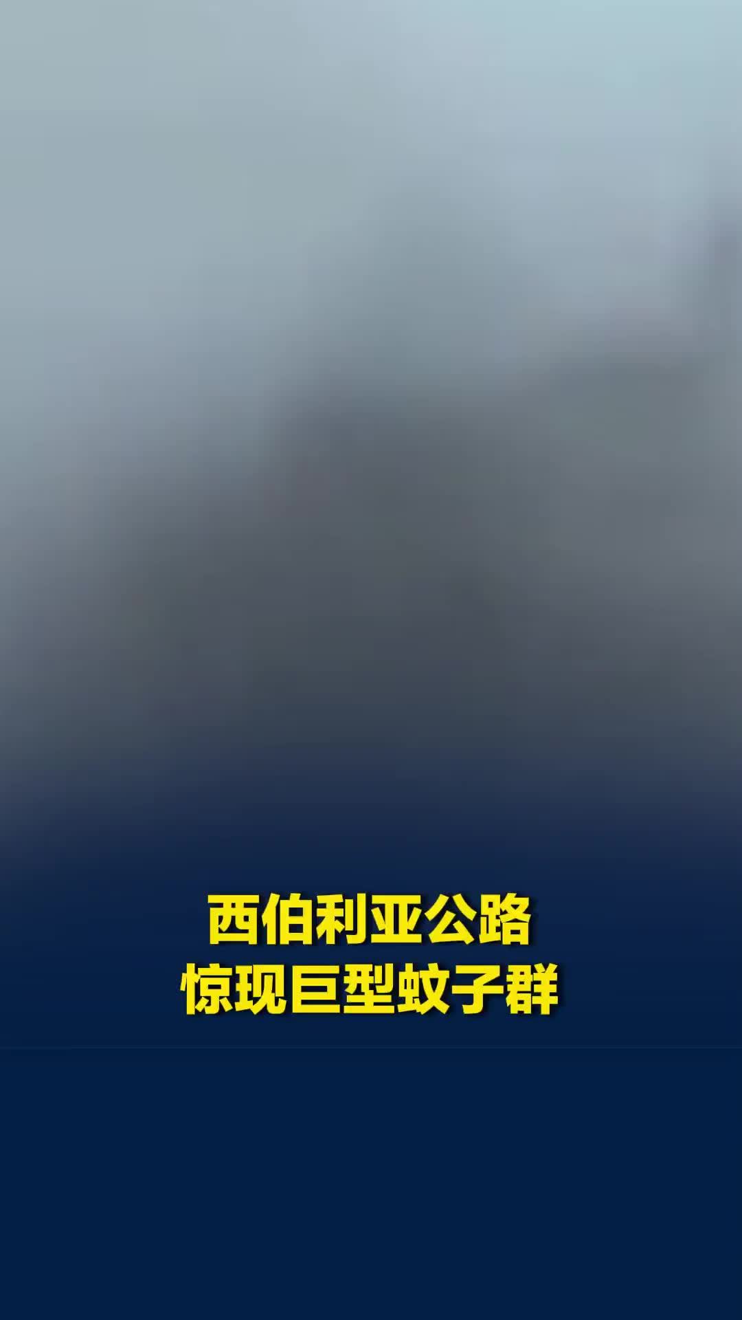 西伯利亚公路惊现巨型蚊子群，遮天蔽日如黑烟
